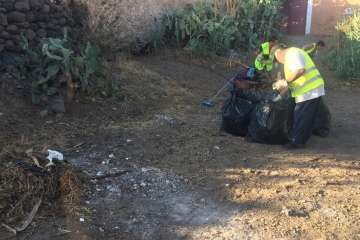 Limpieza a fondo del Barranco de Tundidor (Foto TA)